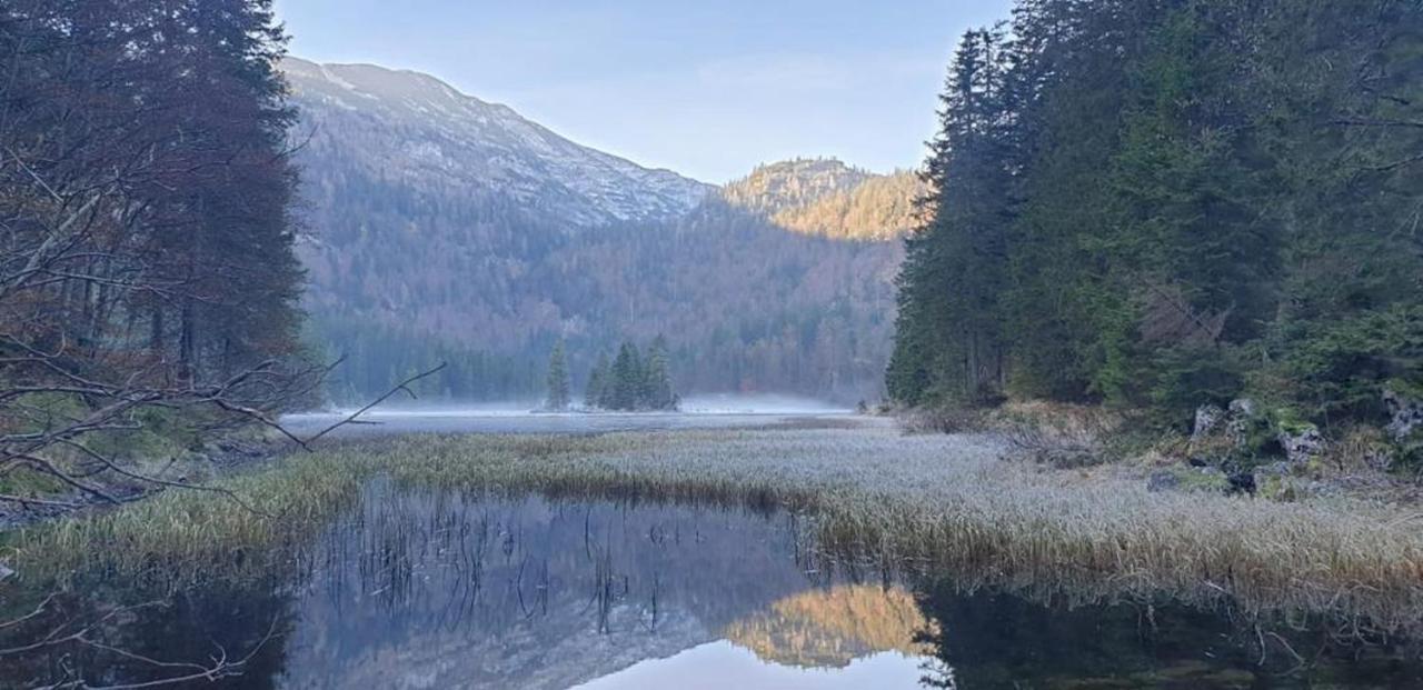 Ledererhof Lunz Am See Zewnętrze zdjęcie