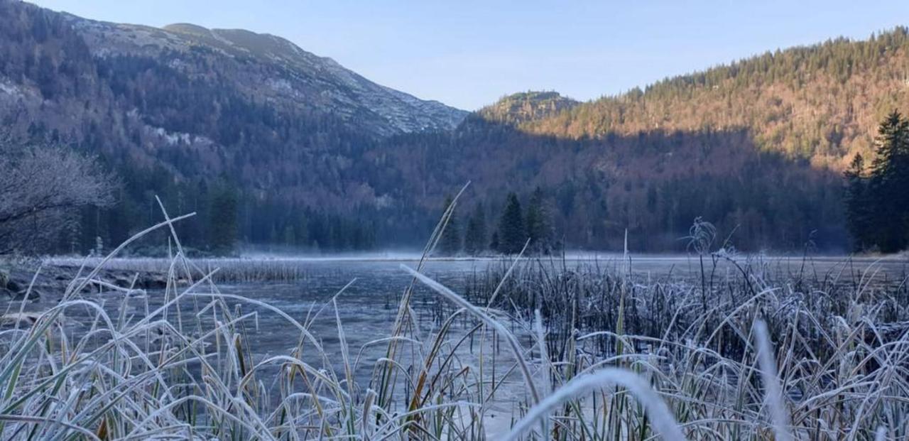 Ledererhof Lunz Am See Zewnętrze zdjęcie